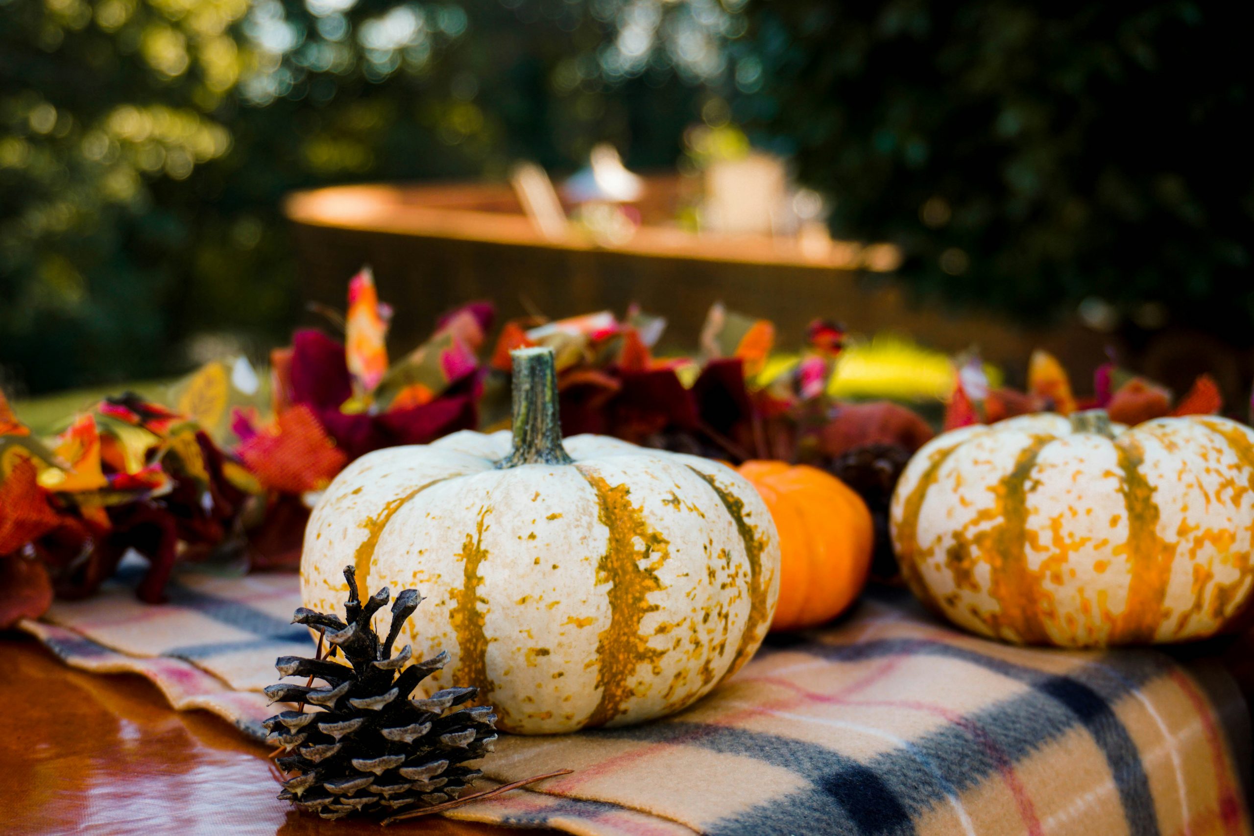 a decorative holiday table for a holiday celebration at an outdoor venue in mansfield, ohio